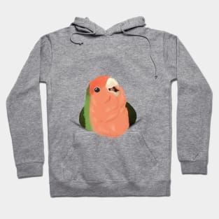 Giant pocket birb Hoodie